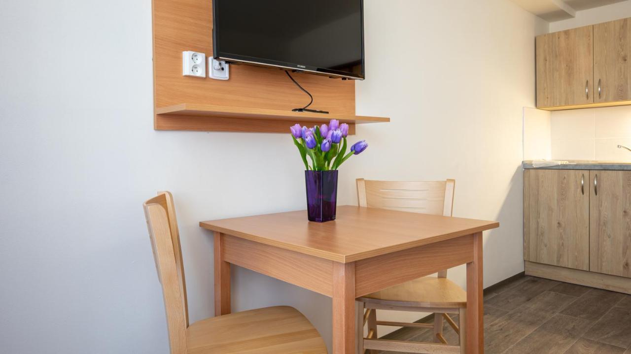 Apartmany A Studia Zamecky Park Litvinov Exterior photo