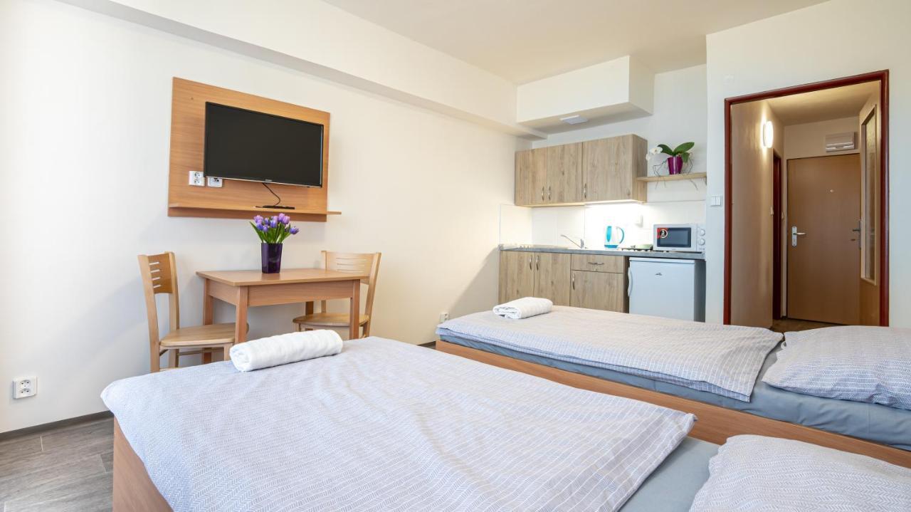 Apartmany A Studia Zamecky Park Litvinov Exterior photo
