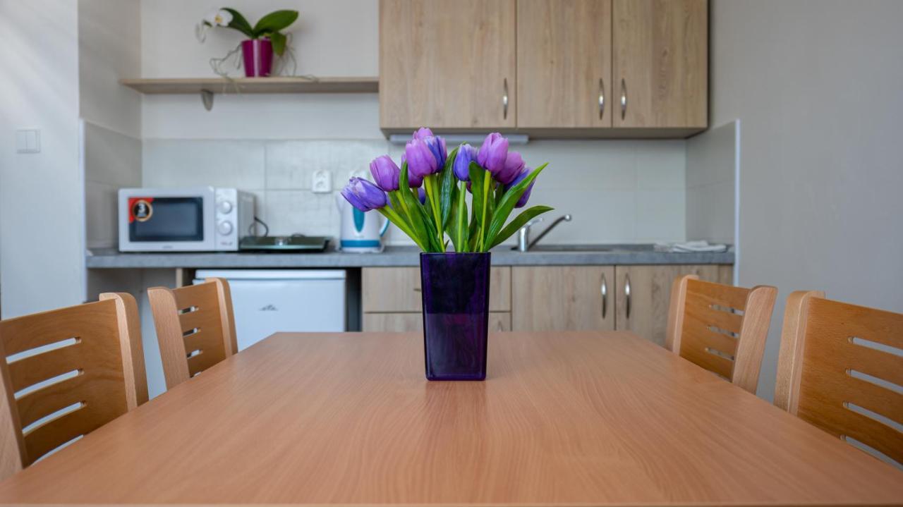 Apartmany A Studia Zamecky Park Litvinov Exterior photo